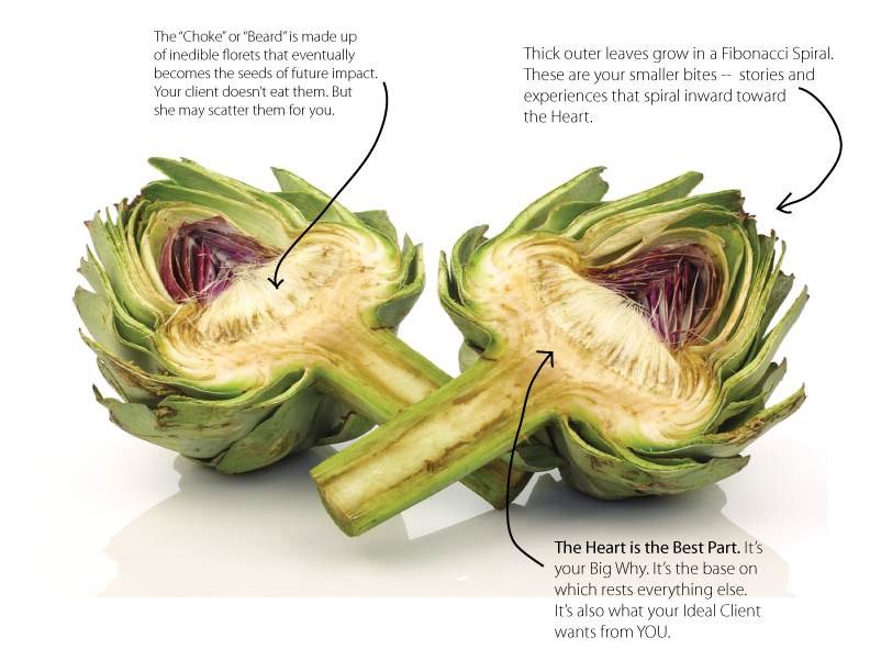 cross-section-explained.png